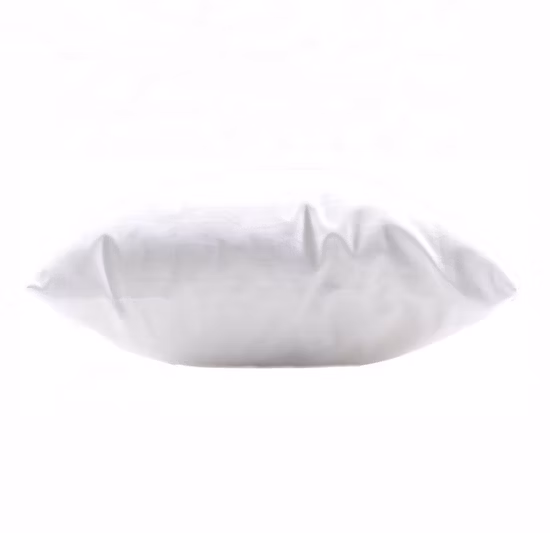 2022 Modern Wholesale Multiple Sizes Polyester Pillow /Cushion Form Insert