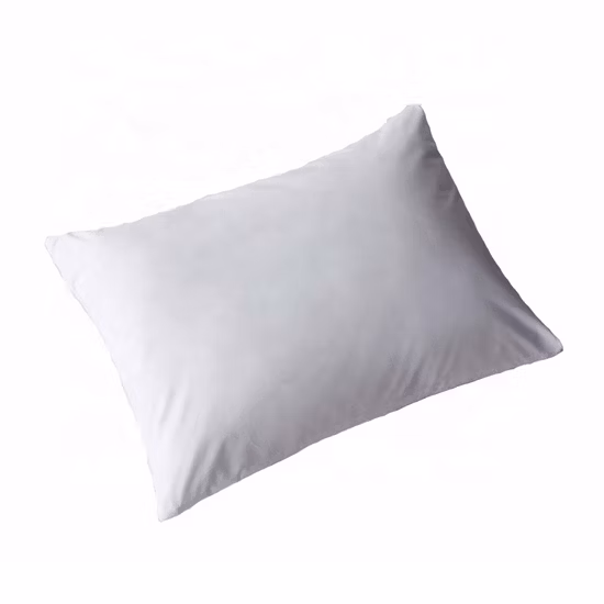 2022 Modern Wholesale Multiple Sizes Polyester Pillow /Cushion Form Insert