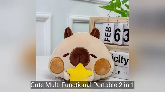 Cute Multi Functional Portable 2 in 1 Pillow with Sleep Eye Mask 